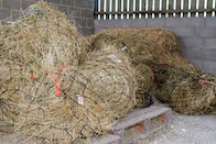 £10 buys enough hay to feed 10 emaciated horses for a day
