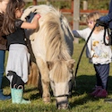 image of children petting a horse