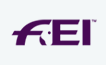 FEI logo