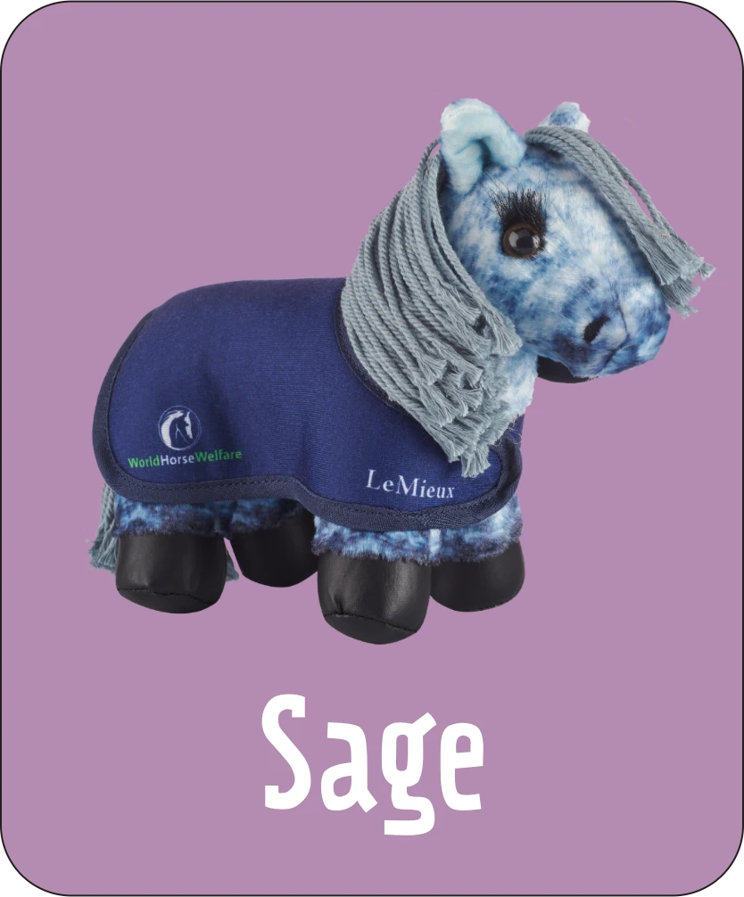 Photograph of cuddly horse mascot Sage